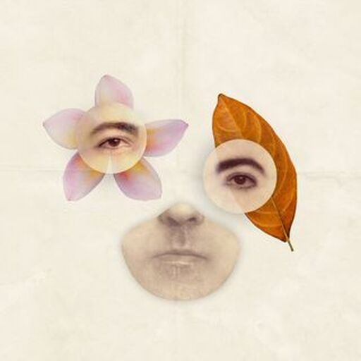 LnkBio profile picture for @jaiminrajani