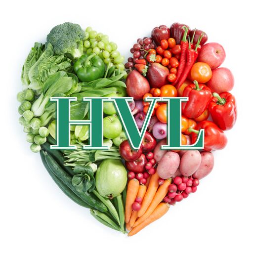 @healthyvibeslifestyle Profile Picture