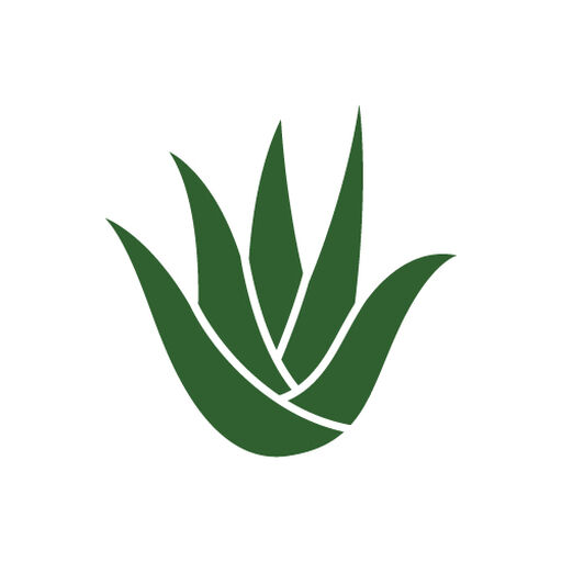 @thealoelab Profile Picture
