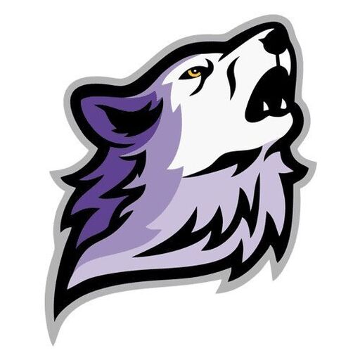 @selkirkcvsd Profile Picture