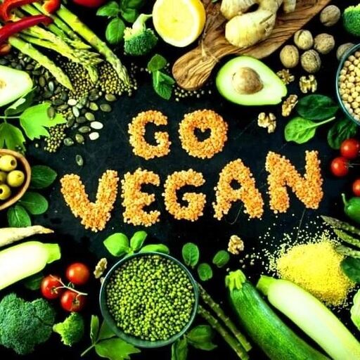 @go.veganrecipe4u Profile Picture