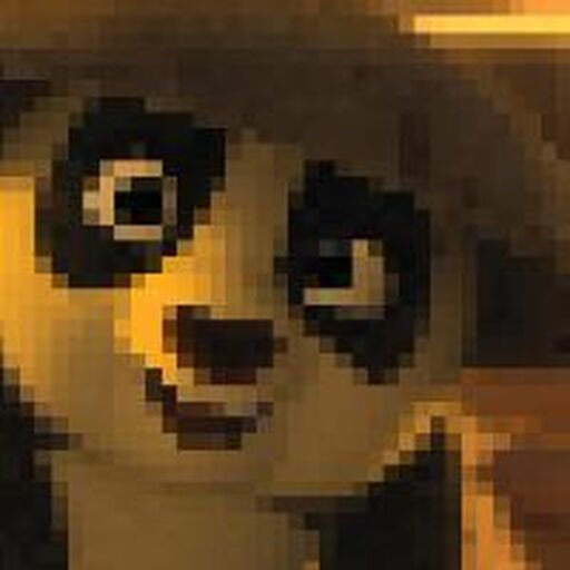 LnkBio profile picture for @bimbo