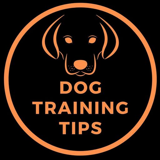 dogz-training-tips-lnk-bio-link-in-bio