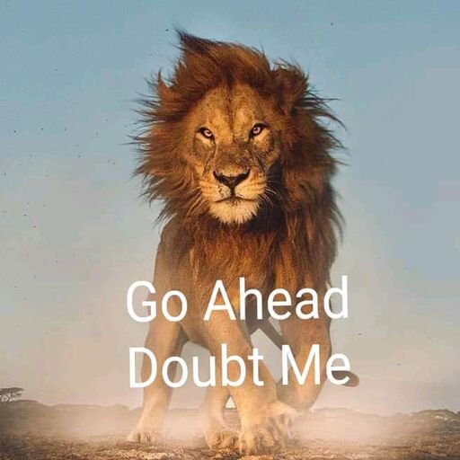 LnkBio profile picture for @xman