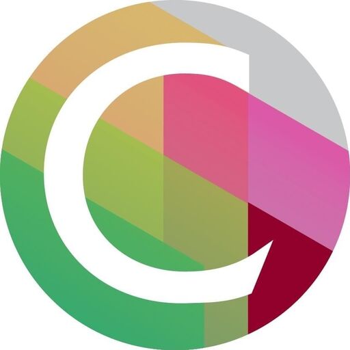 @thesimonedebeauvoirinstitute Profile Picture