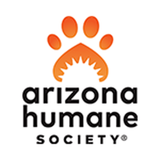 @azhumane Profile Picture