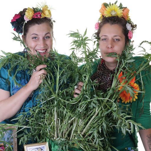 @seed_sistas Profile Picture