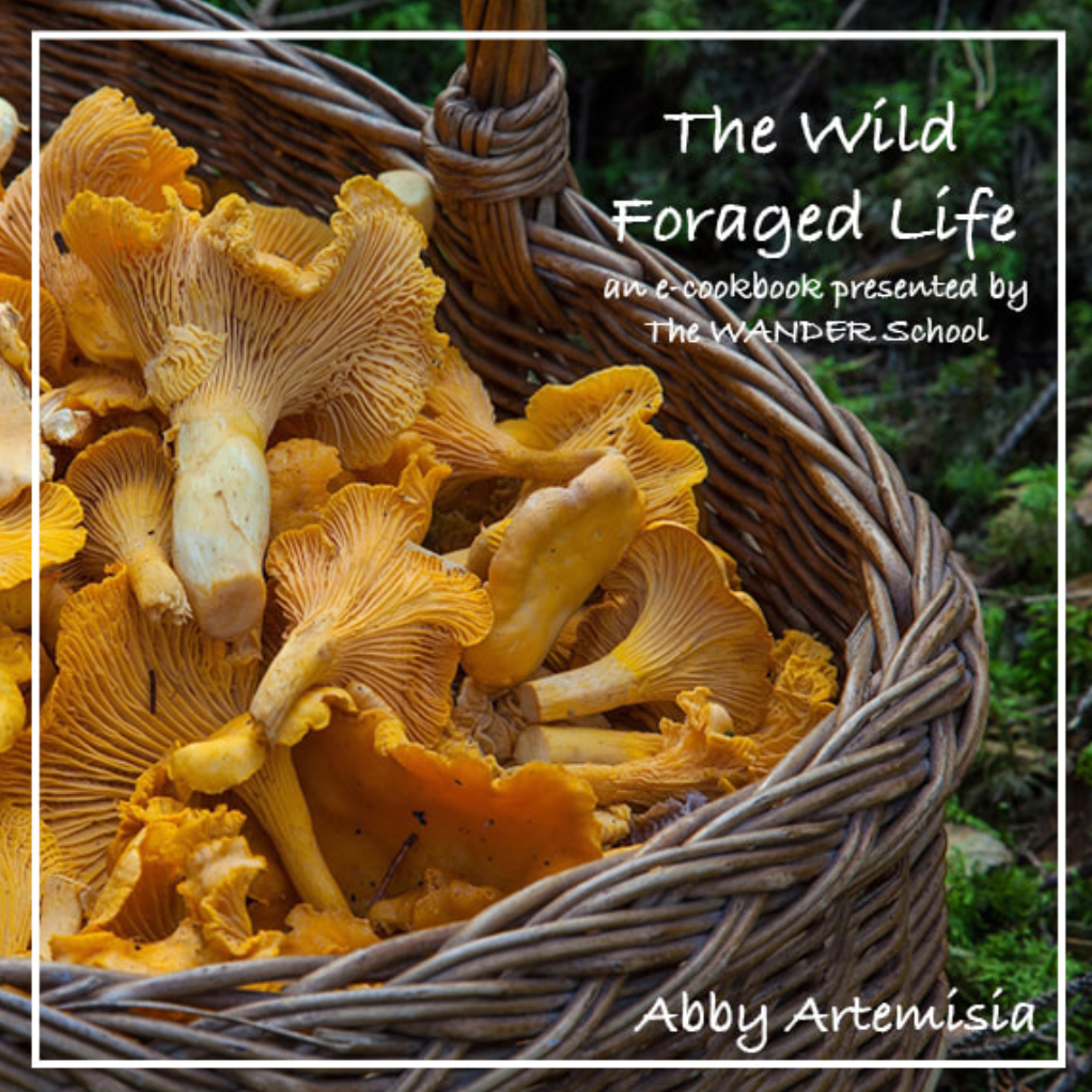 The Wild Foraged Life E-Cookbook