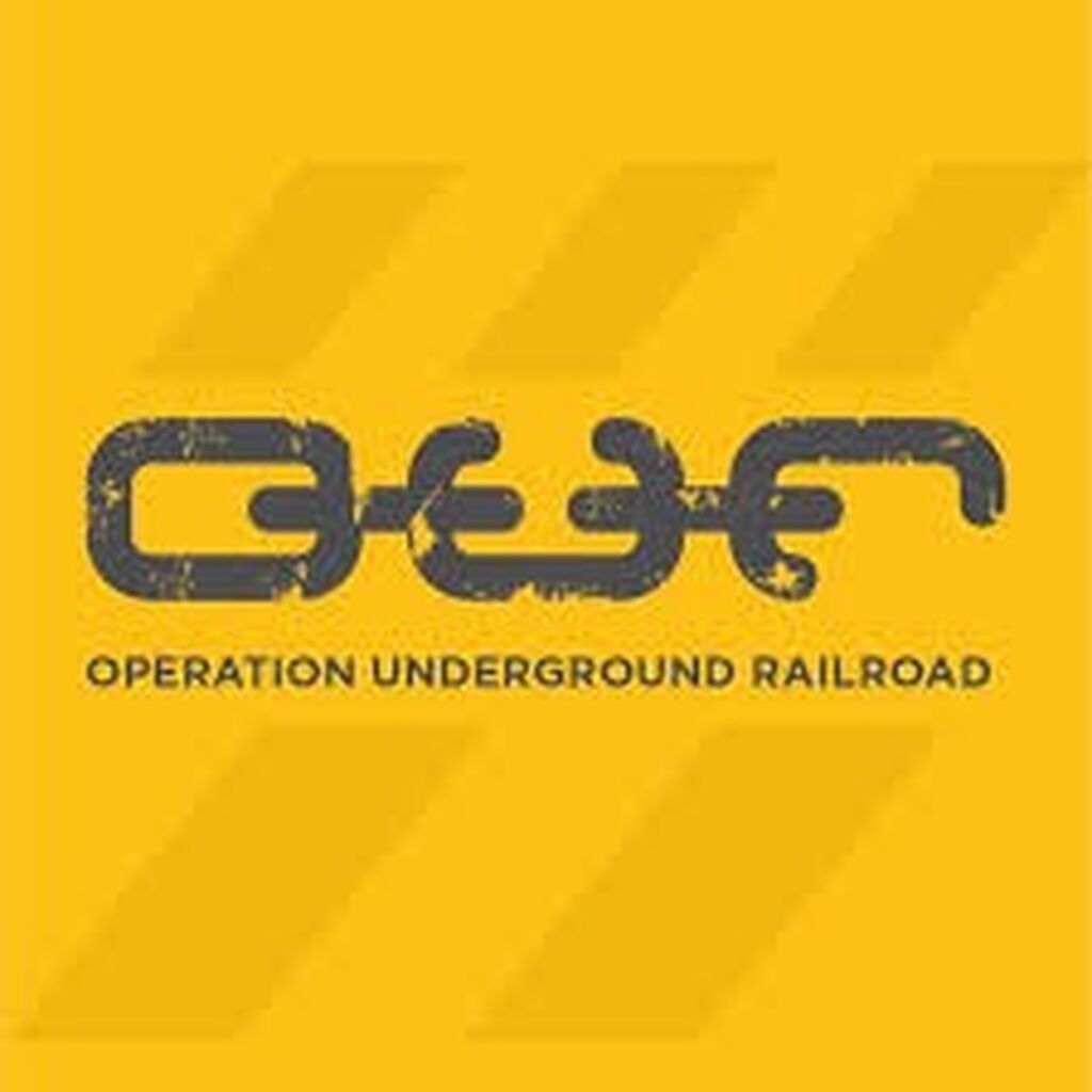 Donate to O.U.R. rescue
