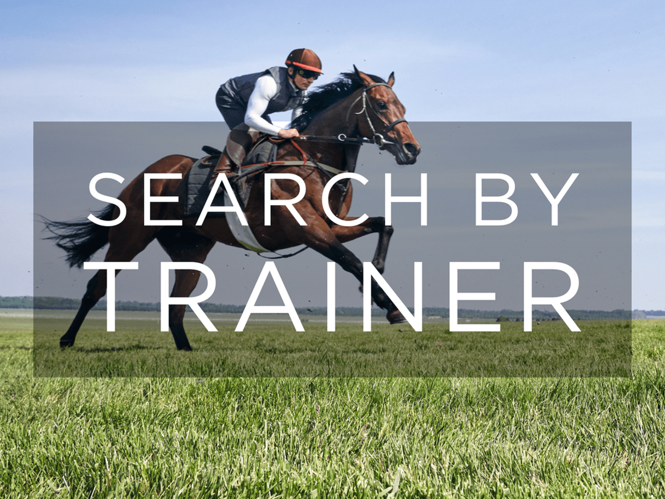 Search by Trainer