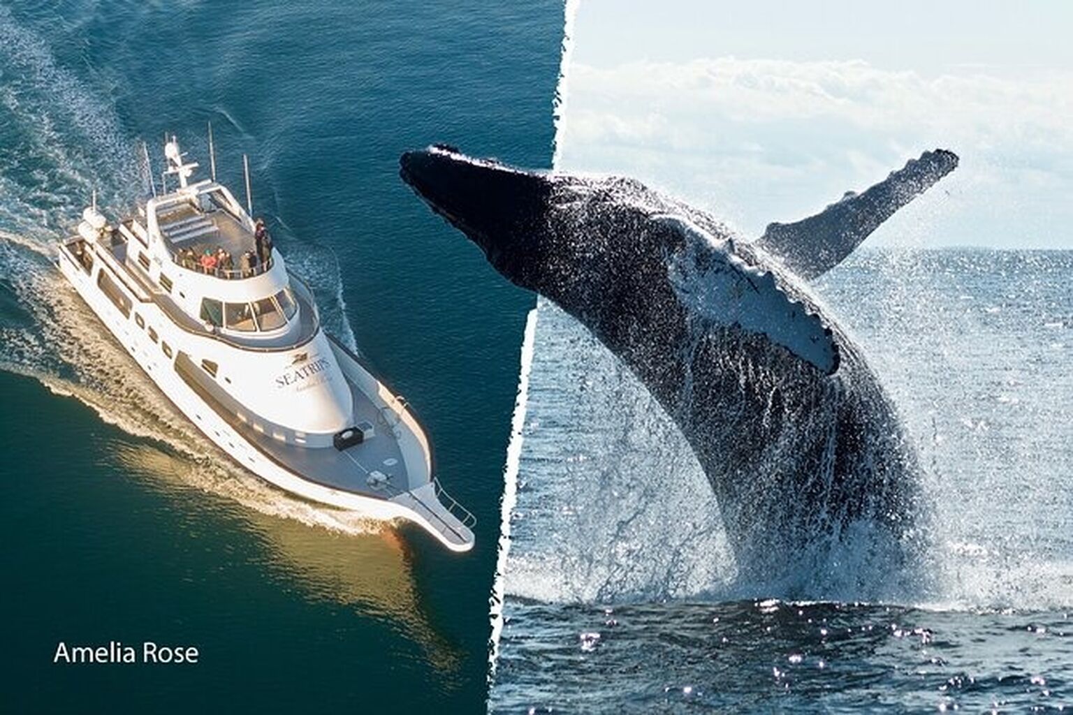 THE TOP 10 Reykjavik Tours & Excursions in 2023 