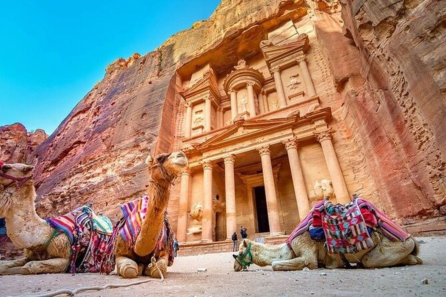 THE TOP 10 Jordan Tours & Excursions in 2023  