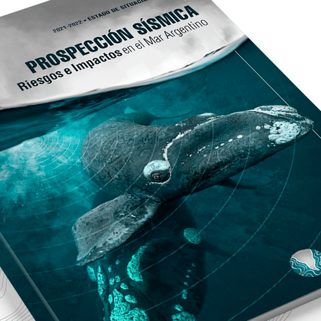 Informe riesgos de la exploraci&oacute;n s&iacute;smica