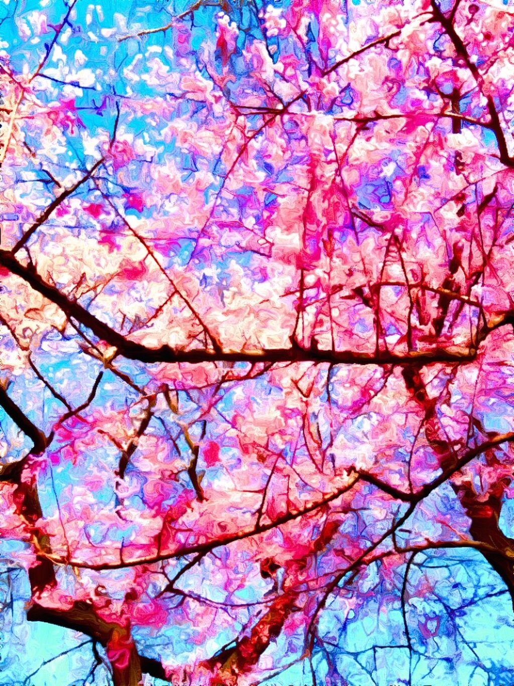 Pink Flowers in the Sky
