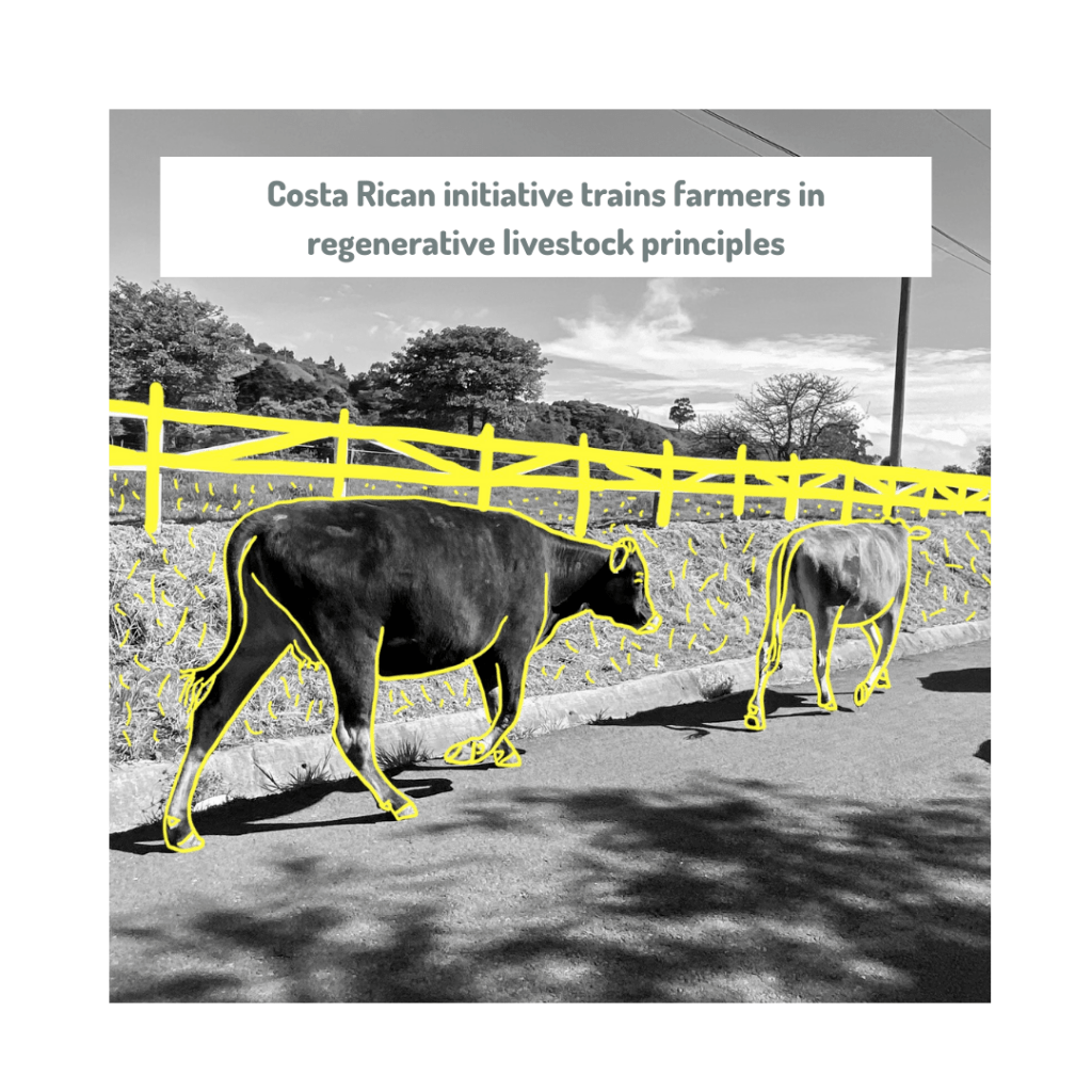 Costa Rican initiative trains farmers in regenerative livestock  principles