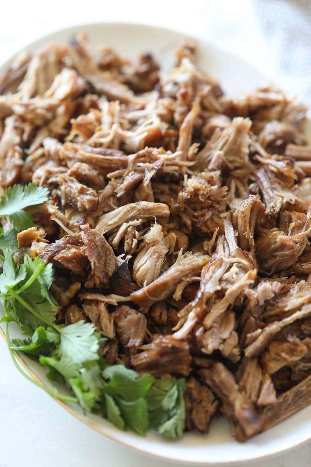 Pork Carnitas