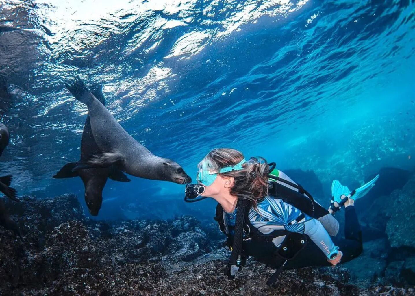 This Ocean-Lover&rsquo;s Unconventional Path to Marine Biology
