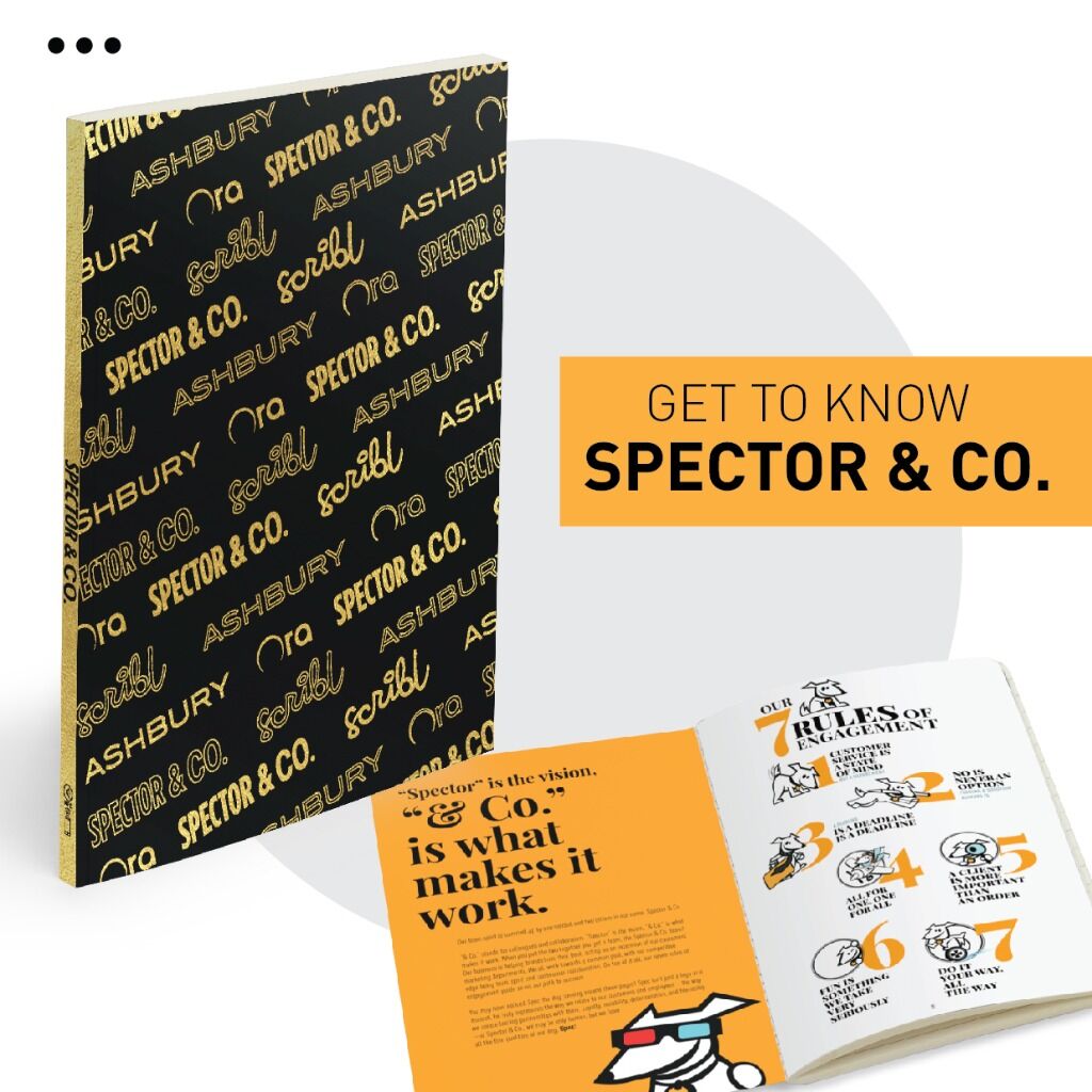 Get to know Spector & Co.