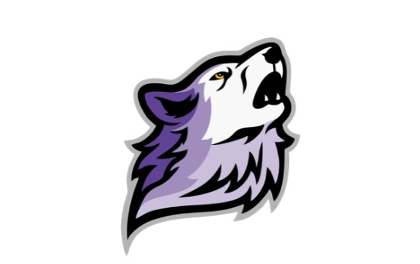 School Website