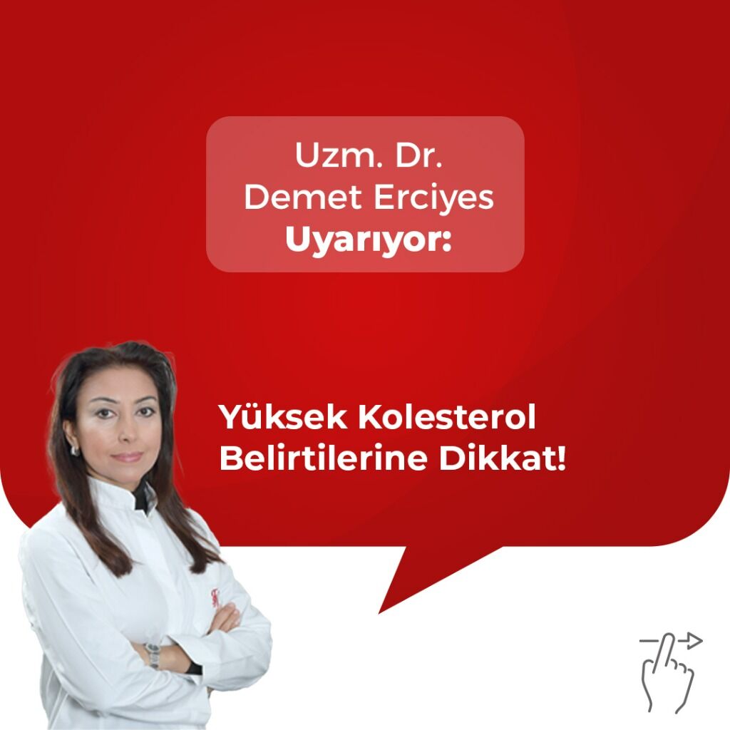 Y&uuml;ksek Kolesterol