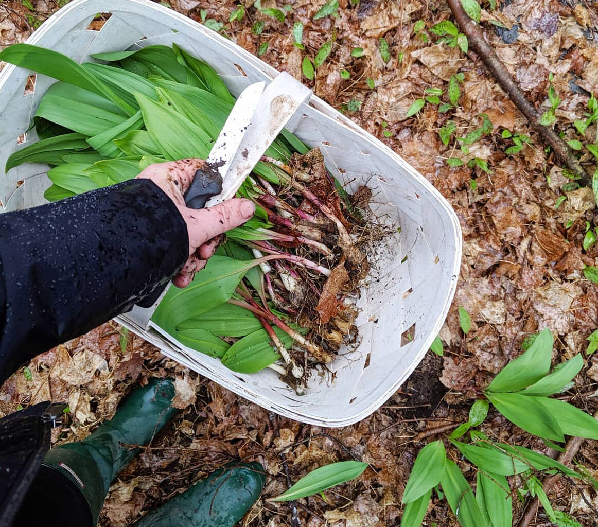 Feast On Chefs Celebrating Spring Ingredients