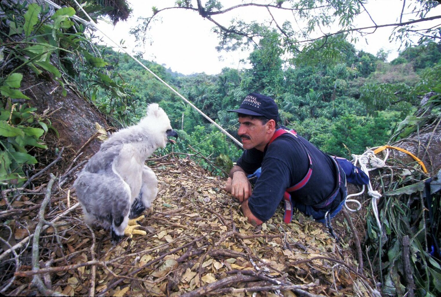 Conservation Efforts