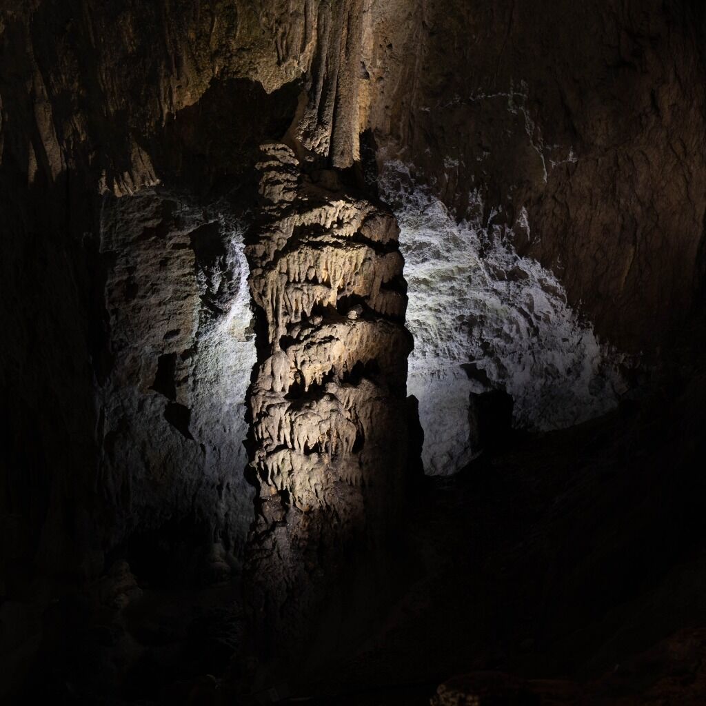 🦇 Biodiversity & Heritage 🎞️