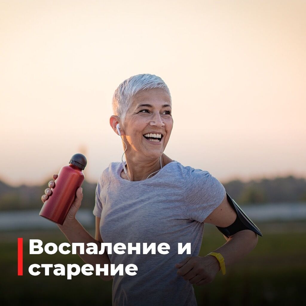 Старение и воспаление 