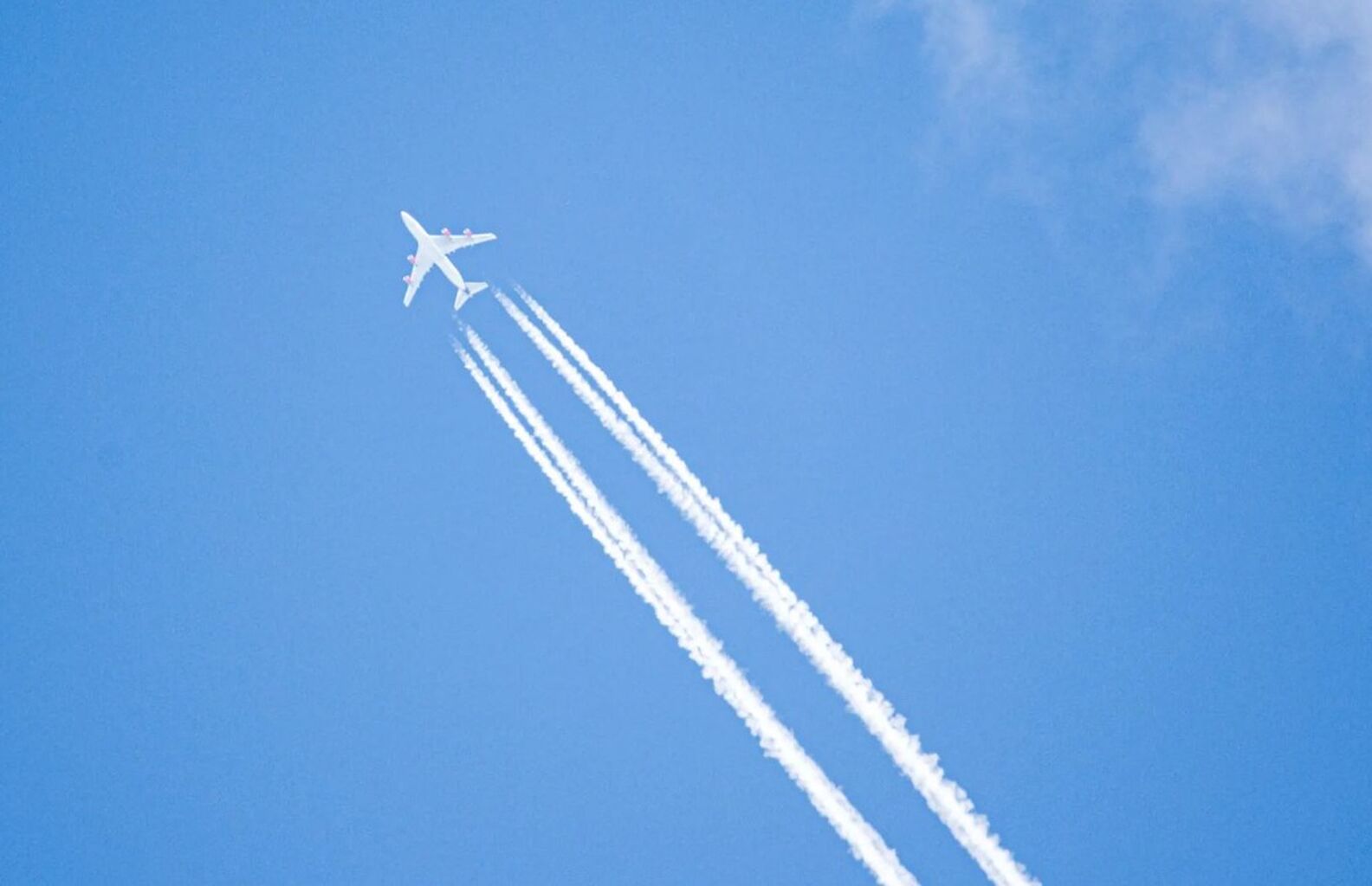Do Airline Climate Offsets Really Work? 