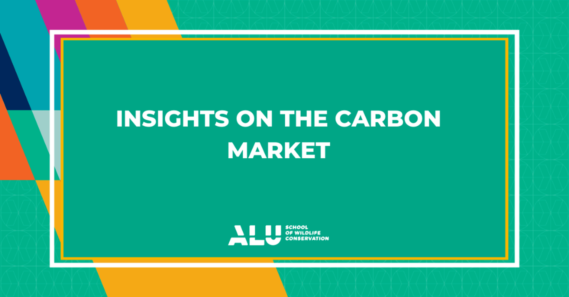 Insight on the carbon Market
