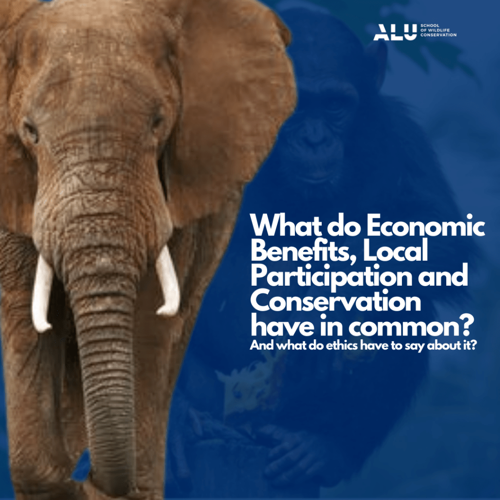 How can humanity work to impact wildlife economy?