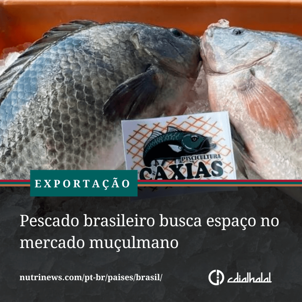Pescado brasileiro busca espa&ccedil;o no mercado mu&ccedil;ulmano