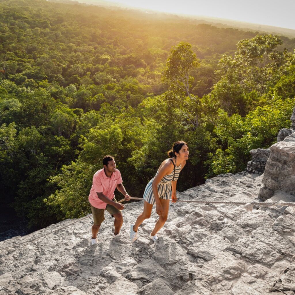 5 Jungle Tour Experiences