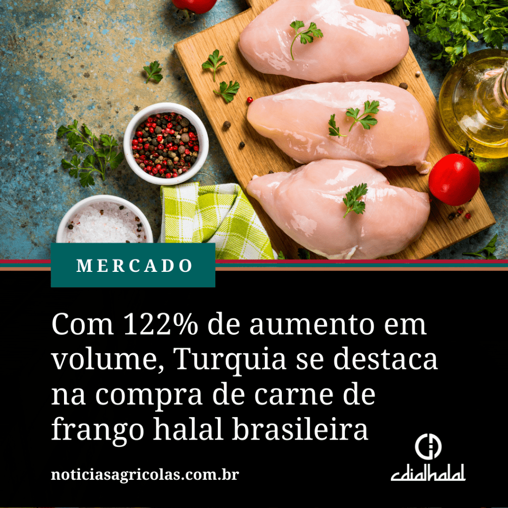 Com 122% de aumento em volume, Turquia se destaca na compra de carne de frango halal brasileira
