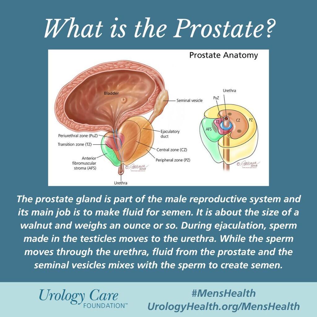 #prostate gland