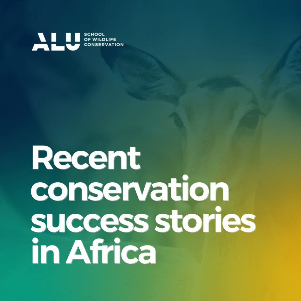 Conservation stories in Africa