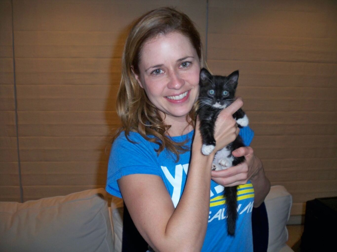 Kitten Fostering