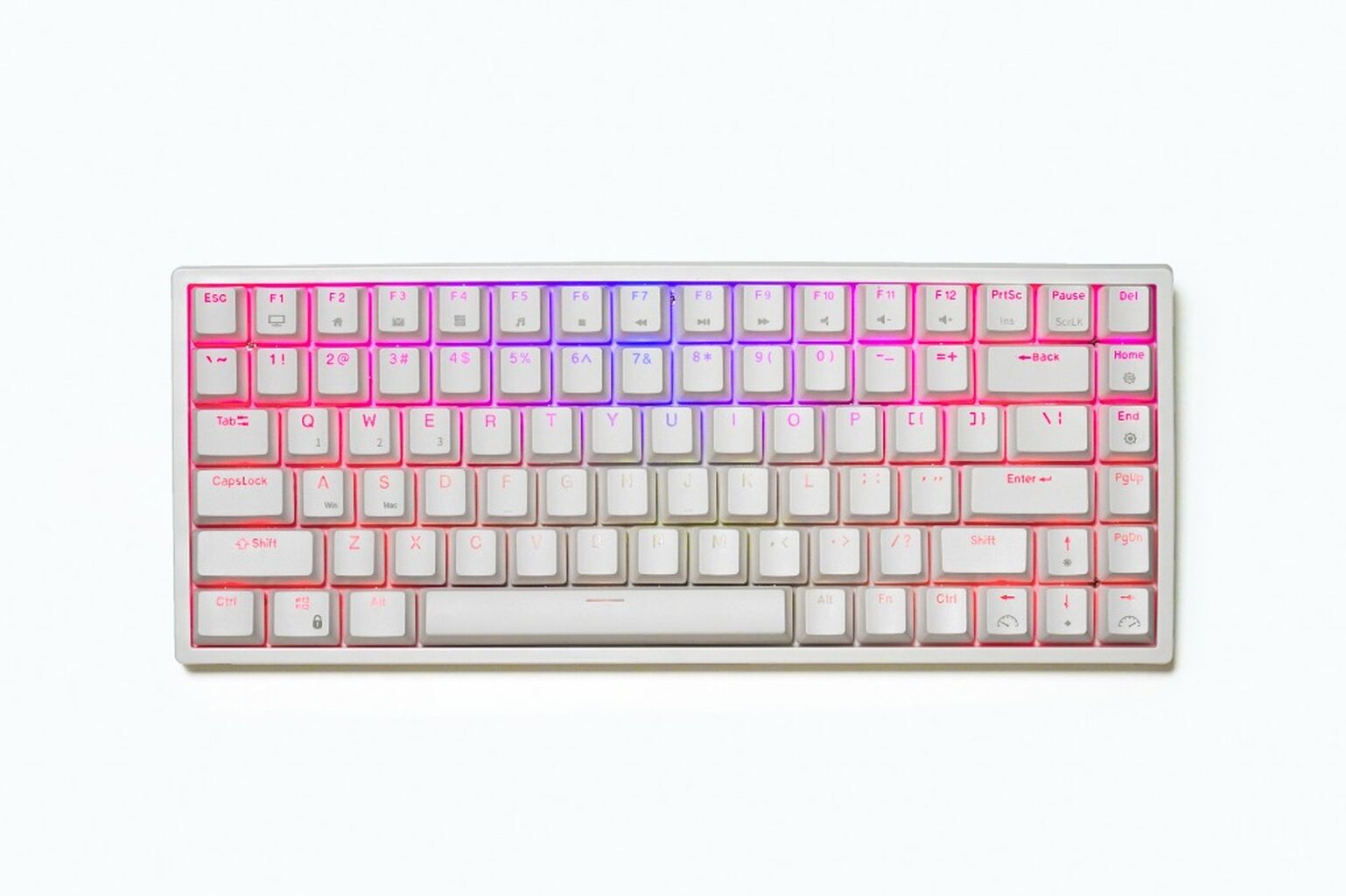 RK84 (₱2,189)