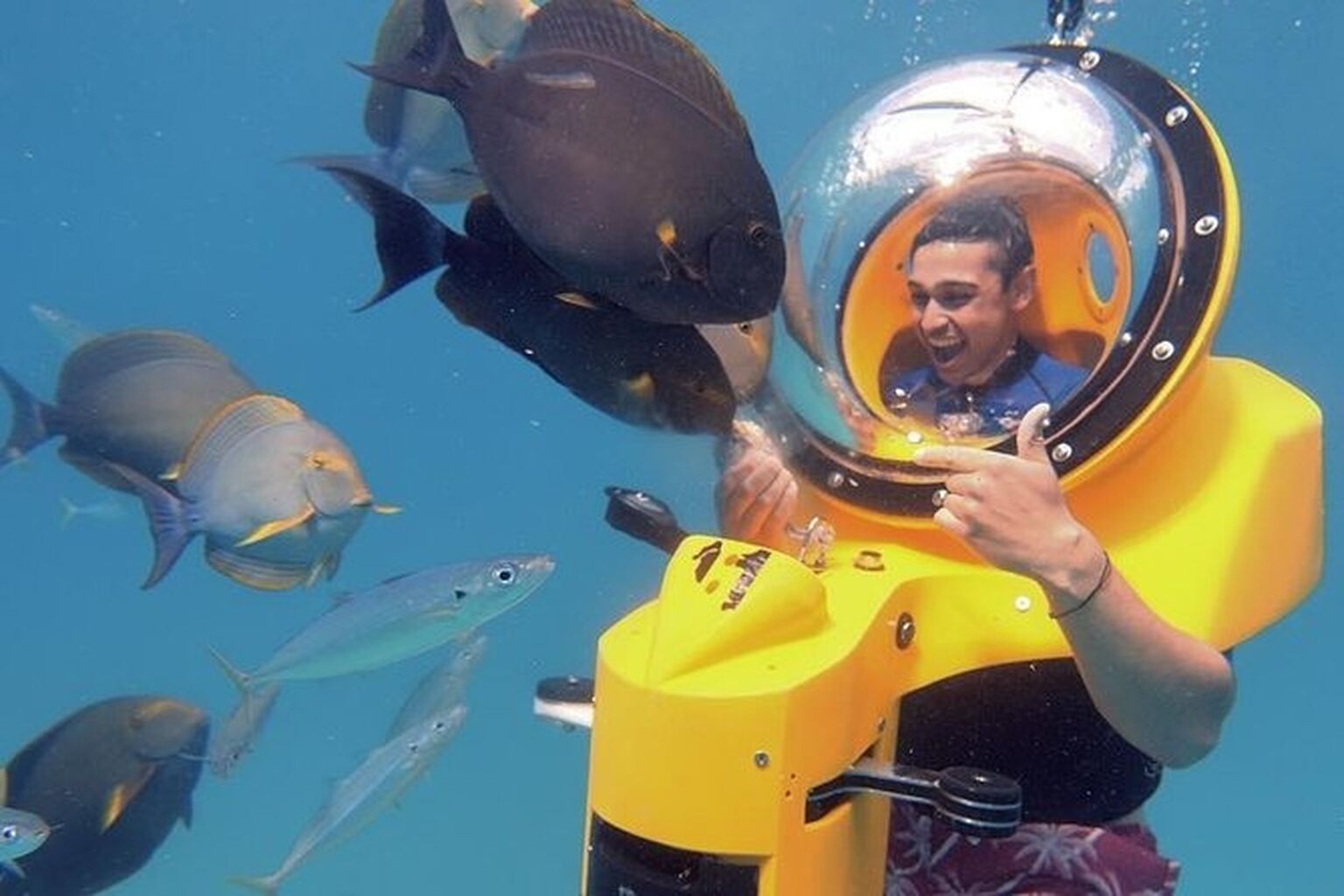 Popular Trending Recommended Things to do near Oahu | The best tours in Oahu