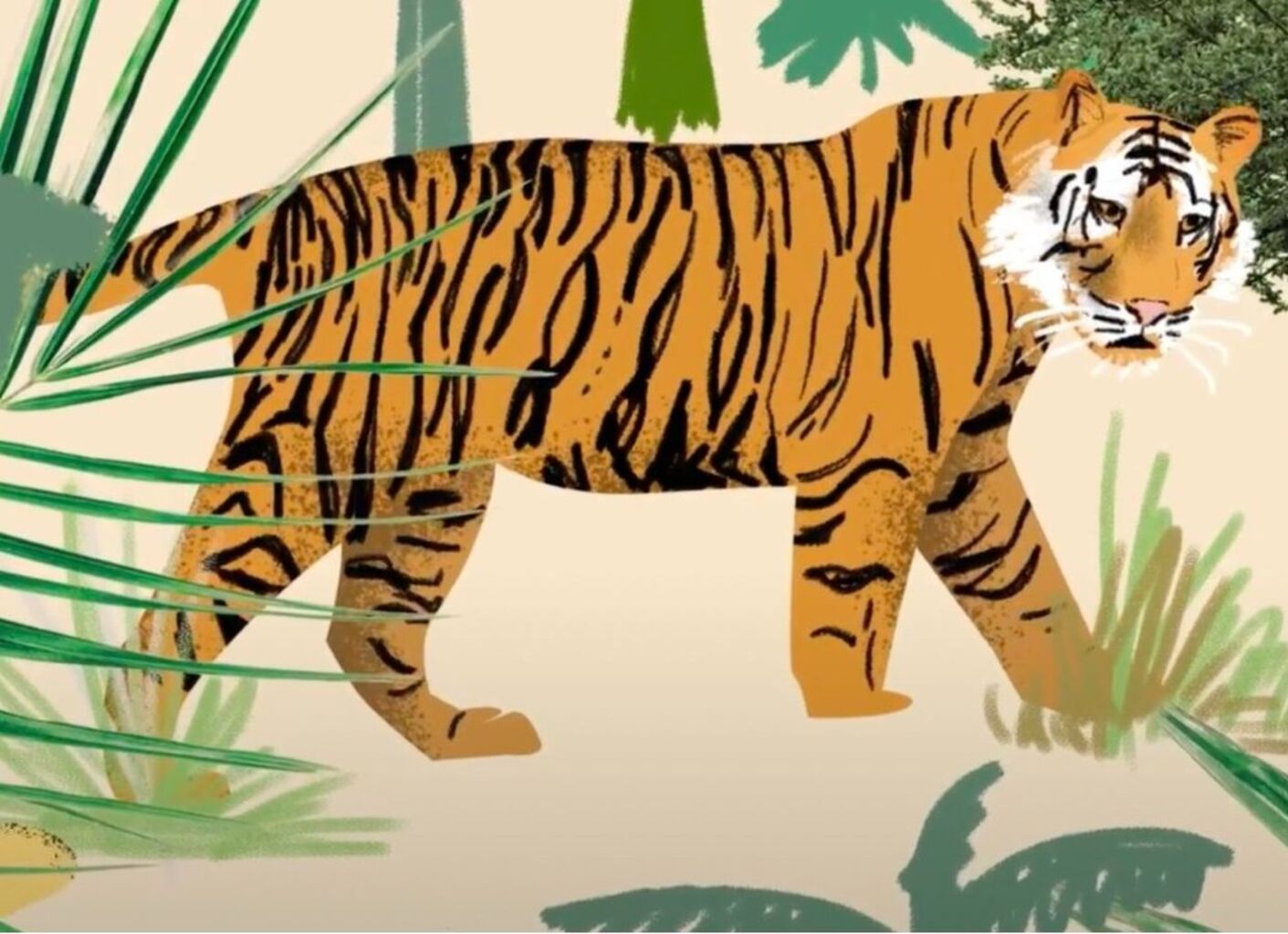 Can conservation technology be used to monitor disappearing species?