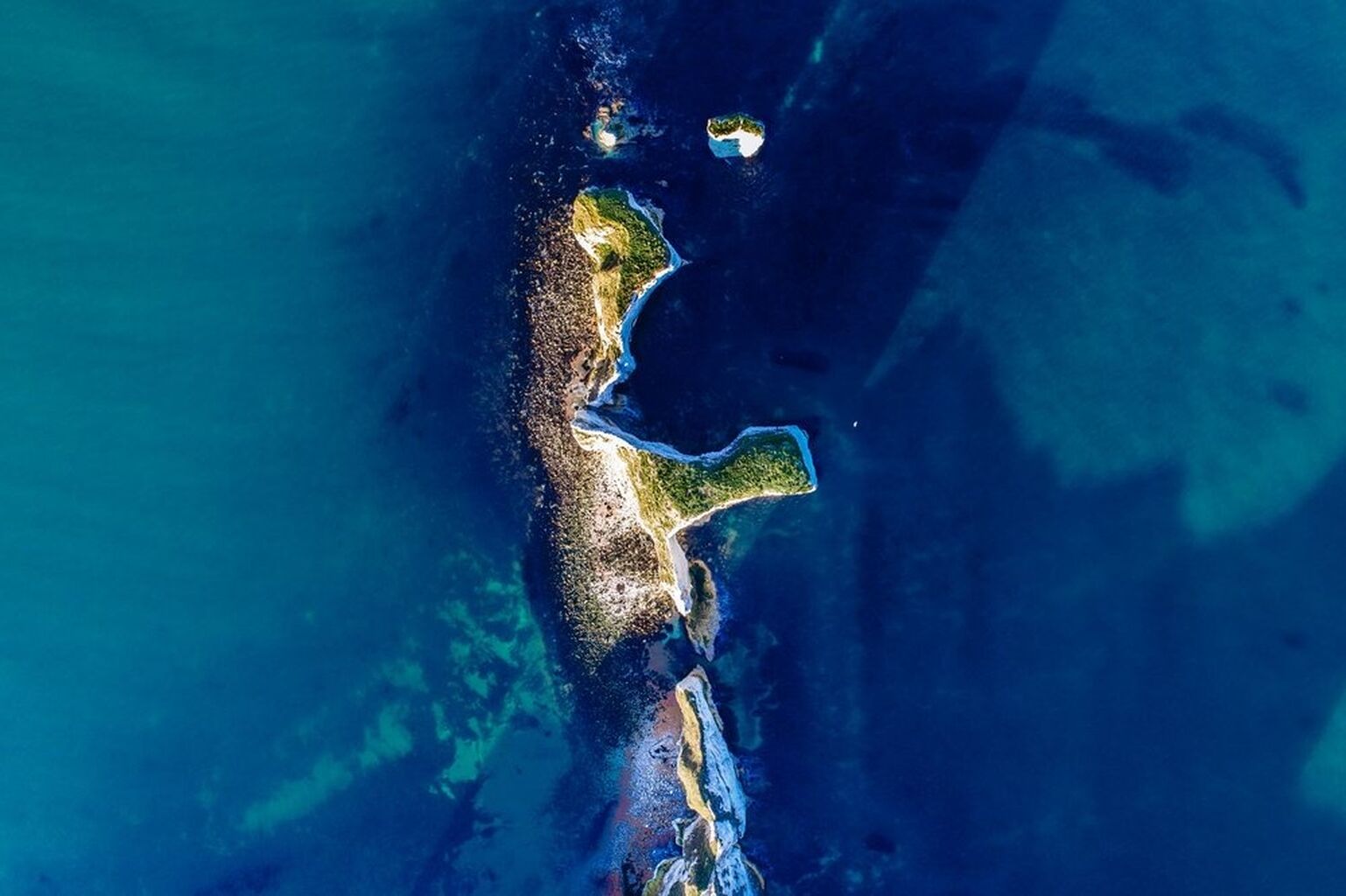 @heyterra "Preserving the Ocean through Story and Song"