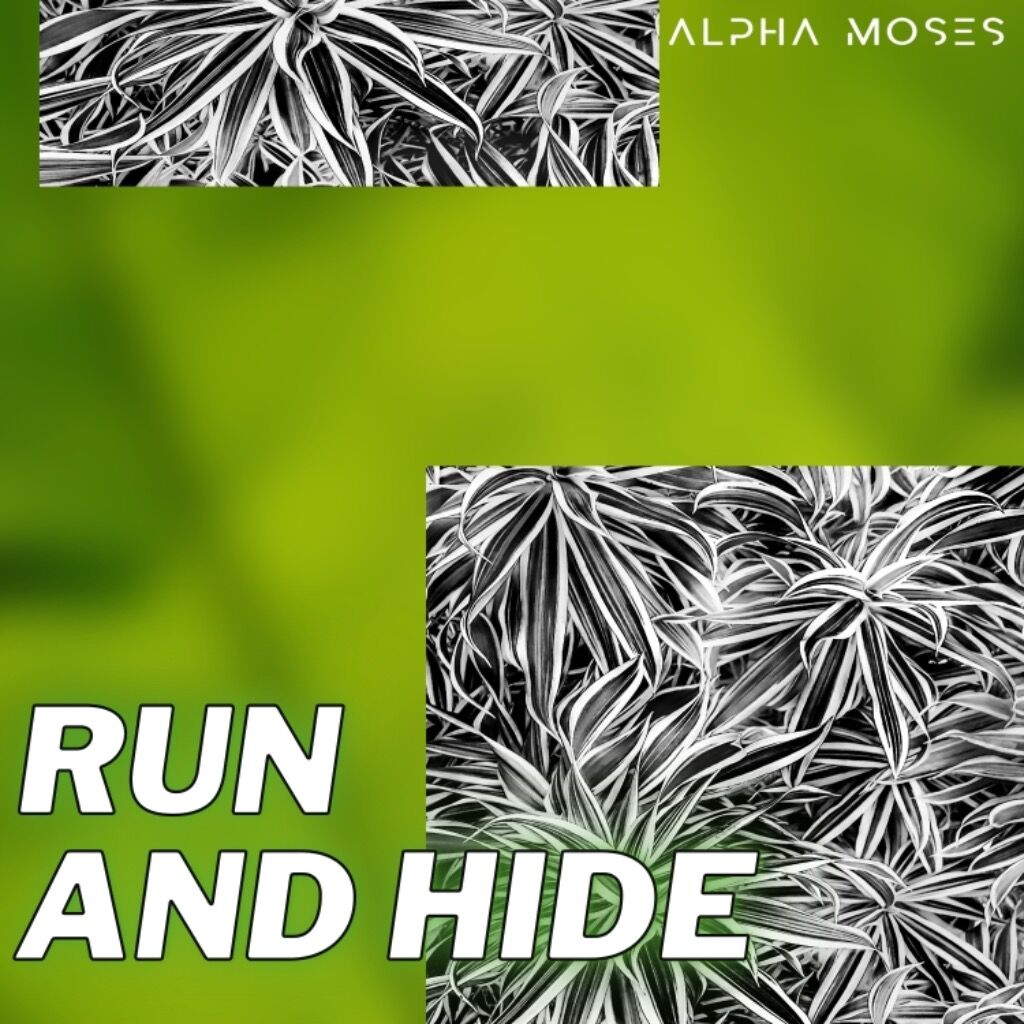 &lsquo;Run And Hide&rsquo;