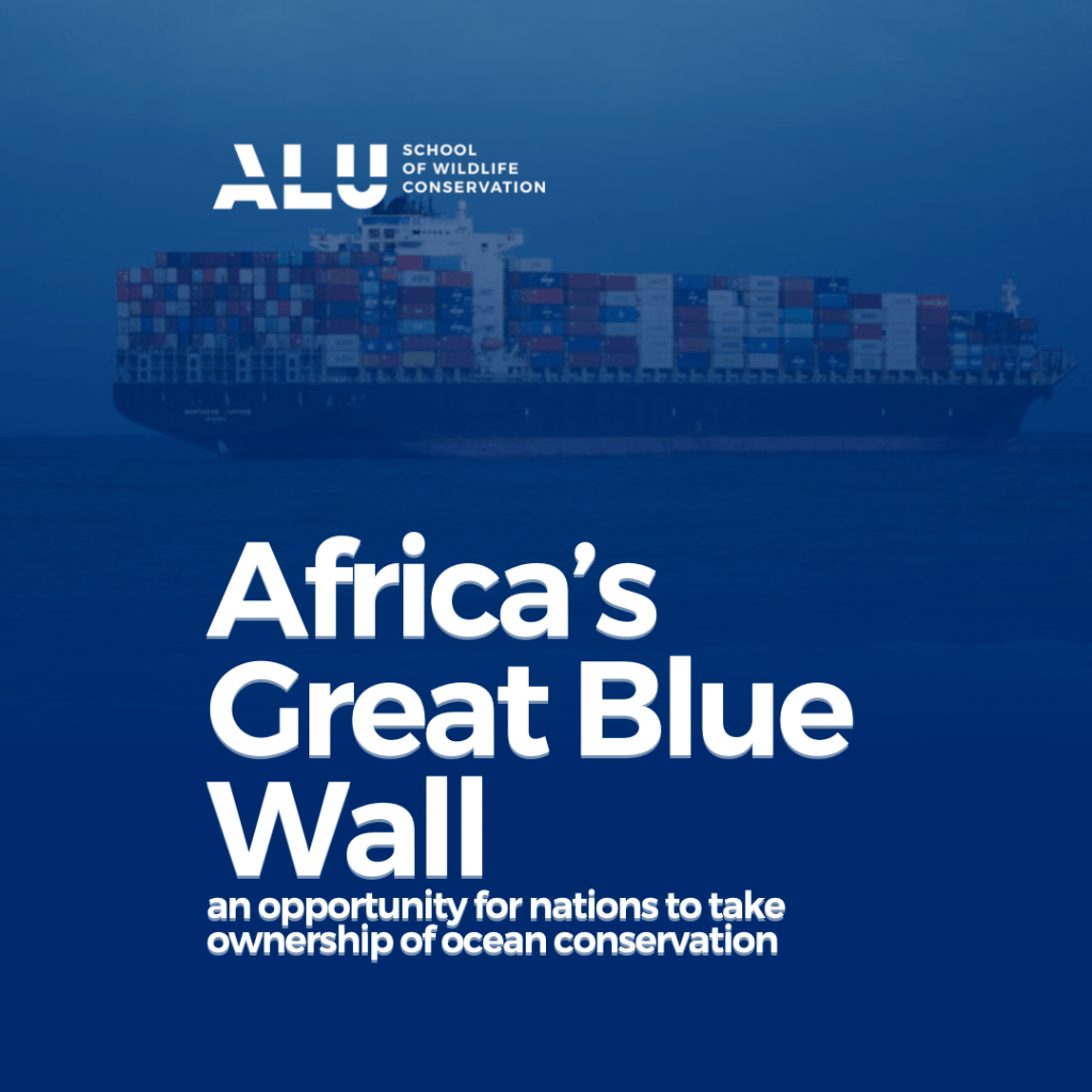 Africa's Great blue Wall