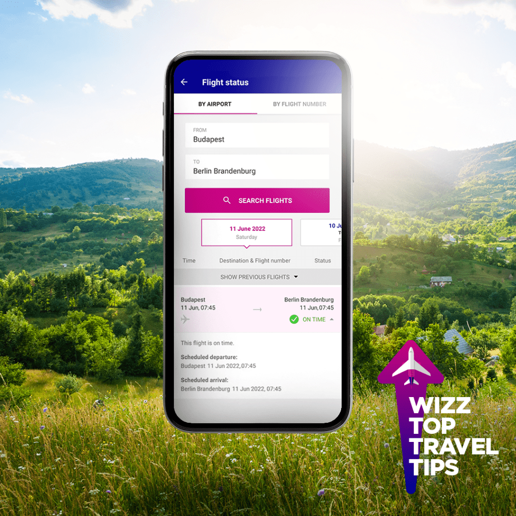 Flight Status Tracker
