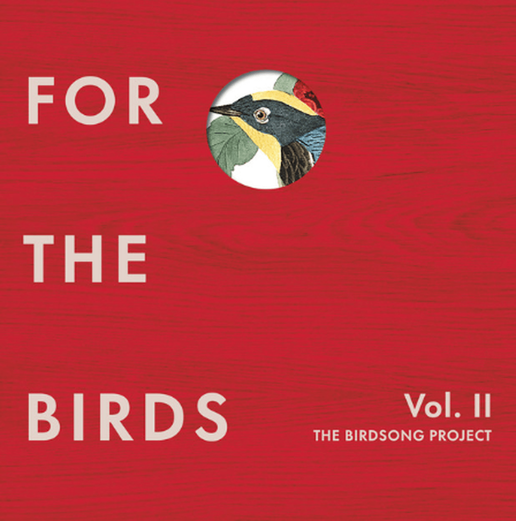 Aska Matsumiya - The Birdsong Project