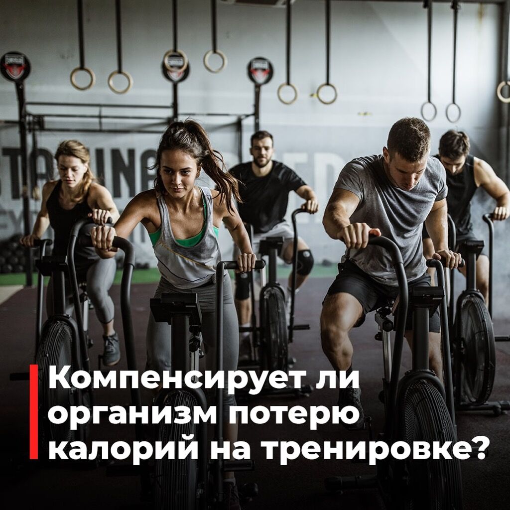 100 ккал