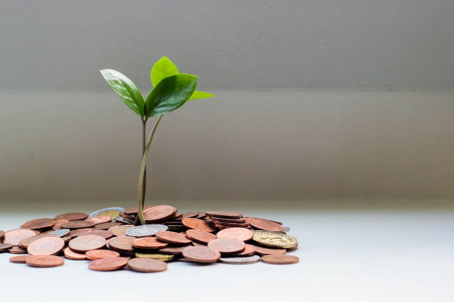 Online Giving Donaci&oacute;n en l&iacute;nea