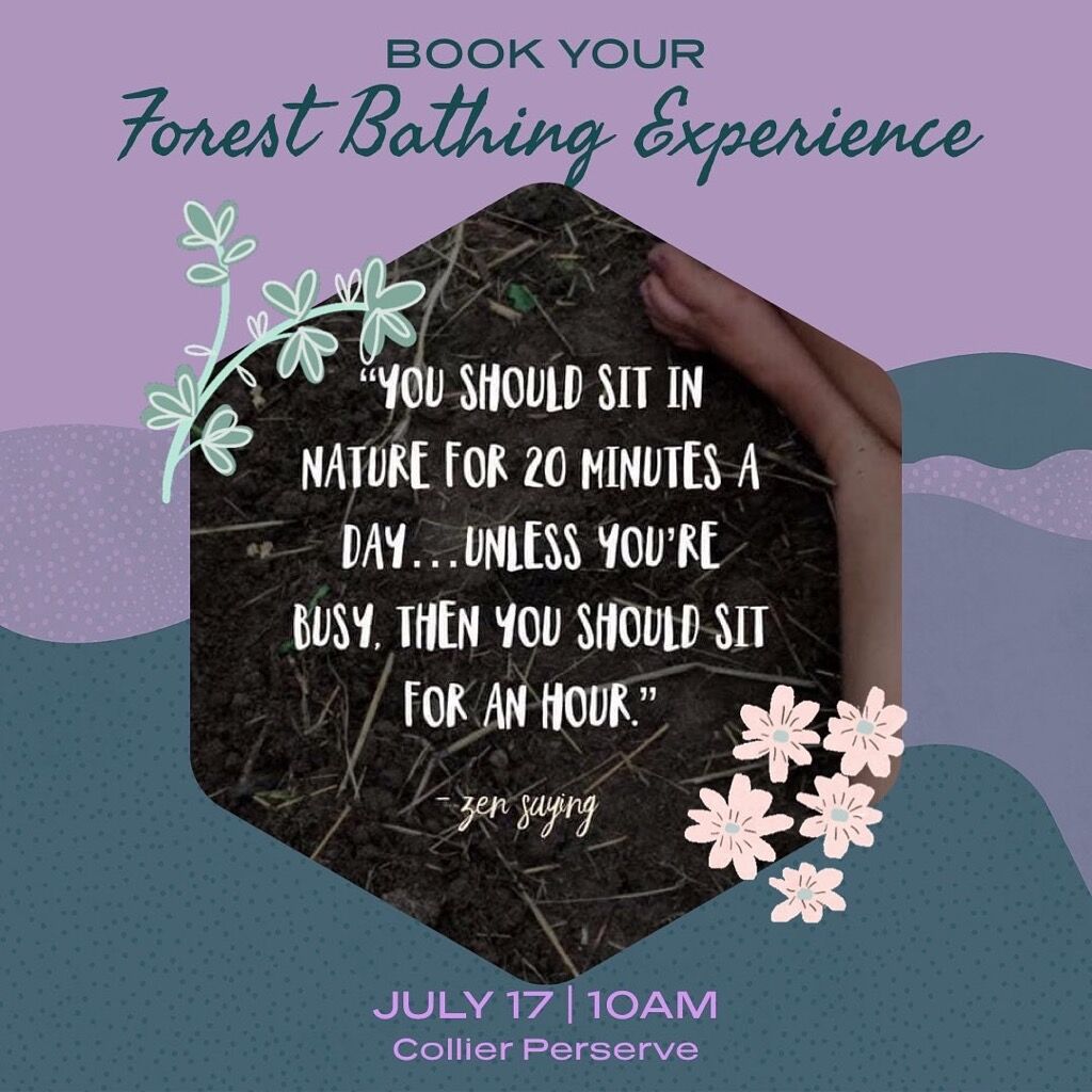 Forest Bathing 7.17