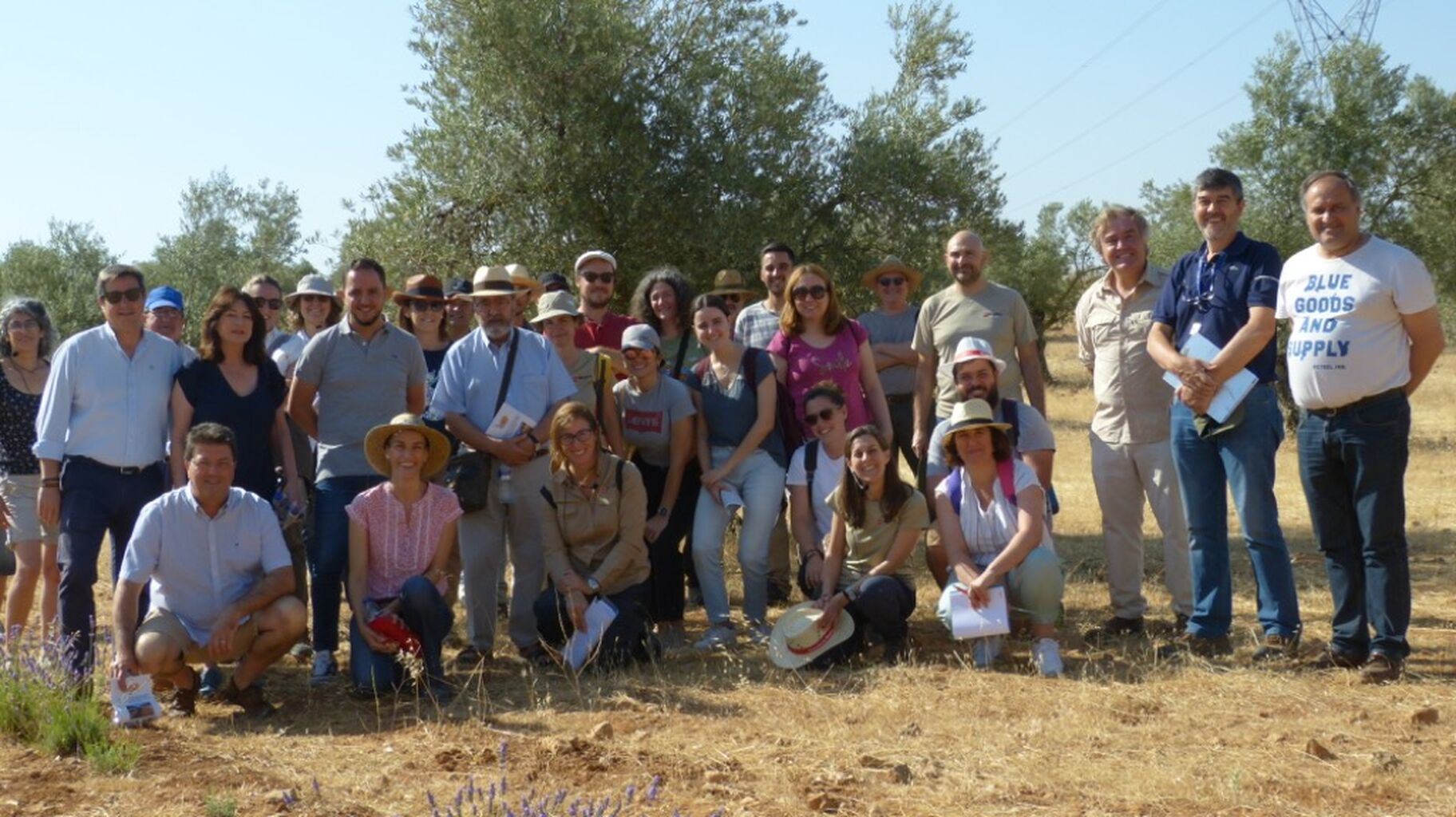 La Comunidad de Madrid en el Grupo Operativo Olivares de Miel