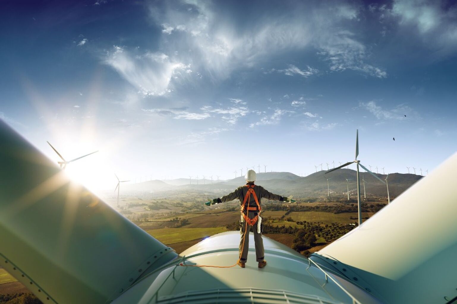 How green bonds accelerate the shift to sustainability